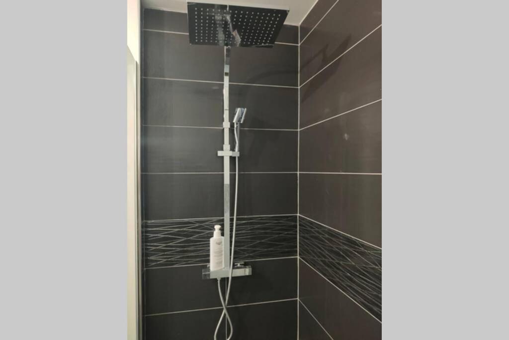 Logement Entier+ Jardin Prive Et Parking 2Places ルーアン エクステリア 写真